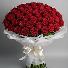 Букет 101 Красная роза Блэк Мэджик в Куйбышево Ростовская область