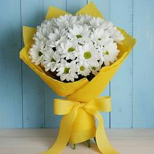 Букет цветов из:  Хризантемы в Куйбышево Ростовская область