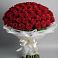 Букет 101 Красная роза Блэк Мэджик в Куйбышево Ростовская область