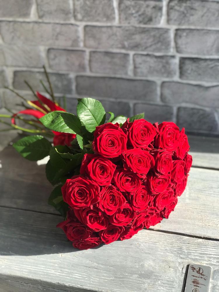 Букет Красные розы Фридом в Куйбышево Ростовская область