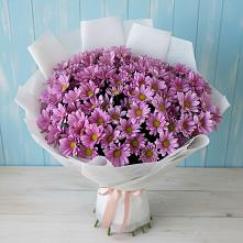 Букет цветов из:  Хризантемы #REPLACE_PRED# Куйбышево Ростовская область