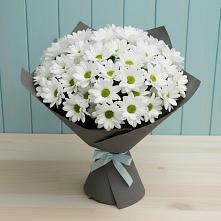 Букет цветов из:  Хризантемы #REPLACE_PRED# Куйбышево Ростовская область