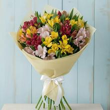 Букет цветов из:  Альстромерии в Куйбышево Ростовская область