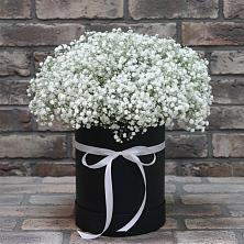Цветочная композиция из Гипсофила в шляпной коробке в Куйбышево Ростовская область
