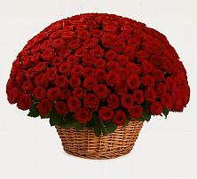 Премиум букет из: Розы в Куйбышево Ростовская область